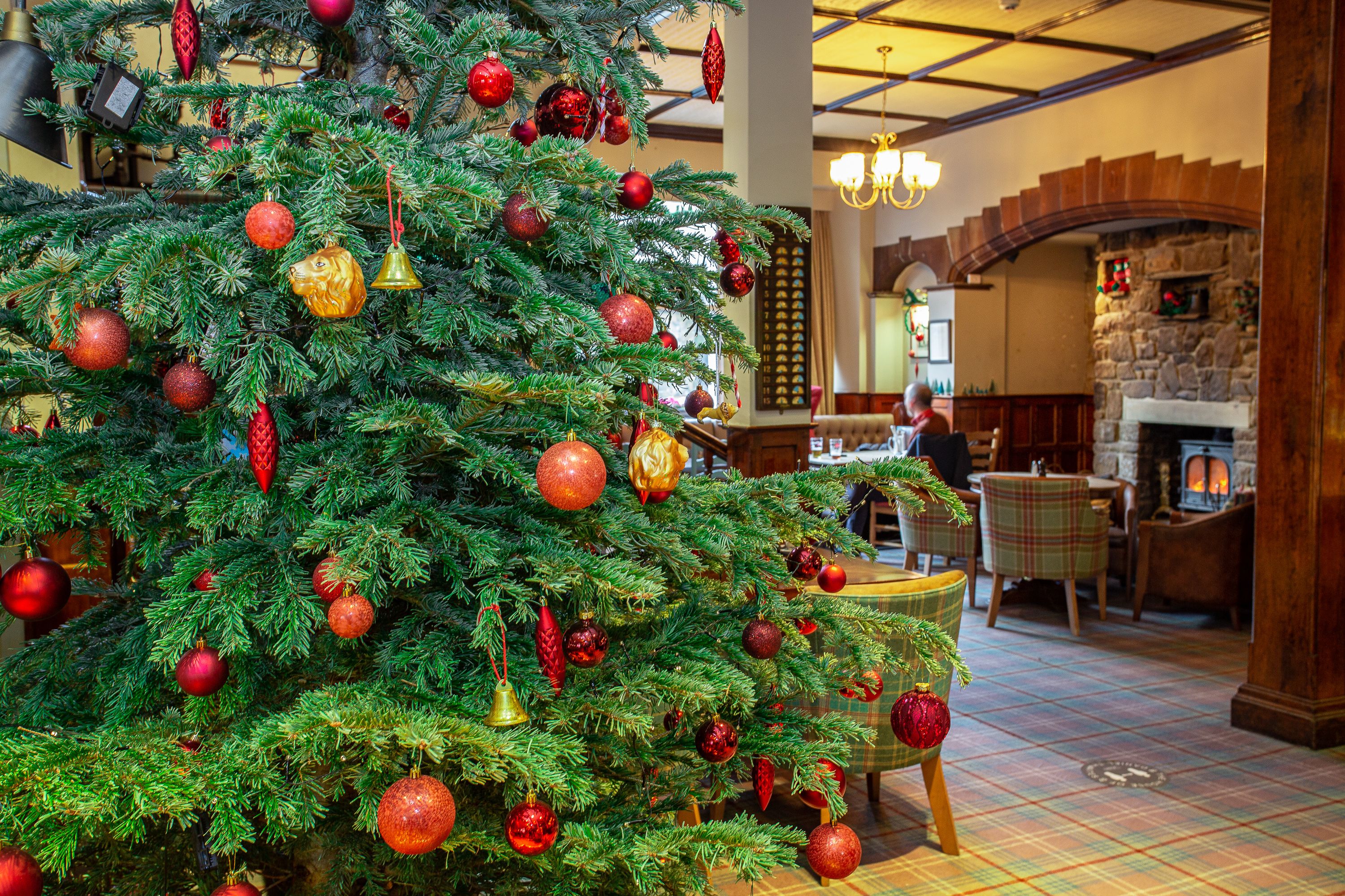 christmas tree decorations at golden lion