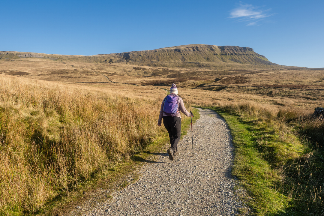 person walking the yorkshire three peaks with pen-y-ghent in the distance