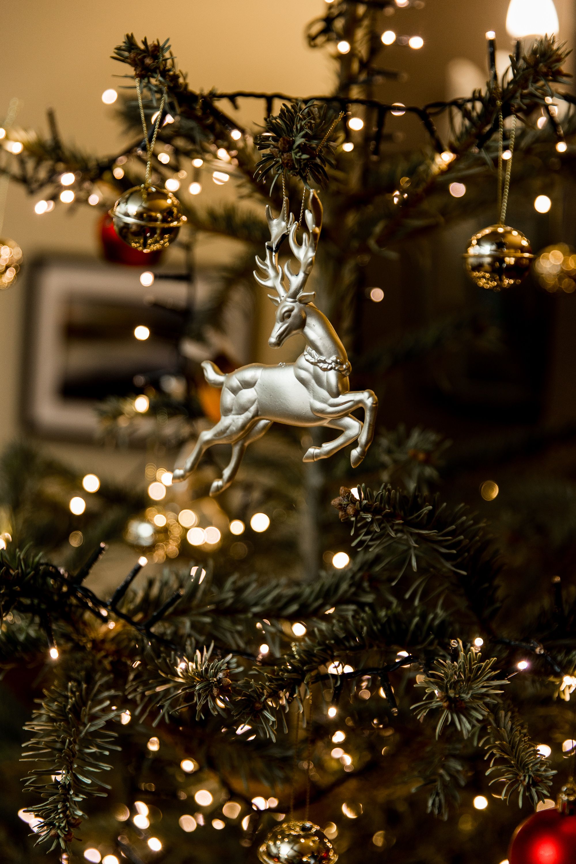 Christmas tree with twinkling lights